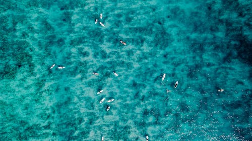 Бесплатное стоковое фото с Аэрофотосъемка, бирюзовый, лодки