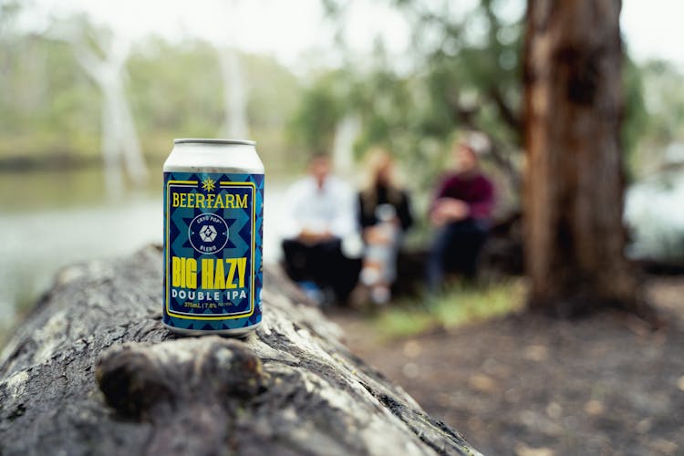 Beer Can On Rock In Forest