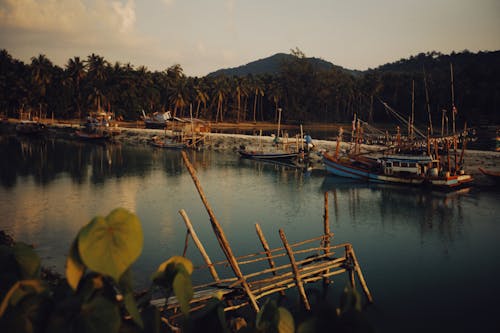 Free Fishing Boats on a Docking Area Near Coconut Trees Stock Photo