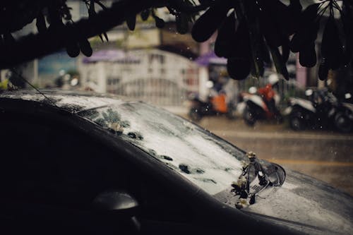 Gratis arkivbilde med black-bil, kjøretøy, regn Arkivbilde