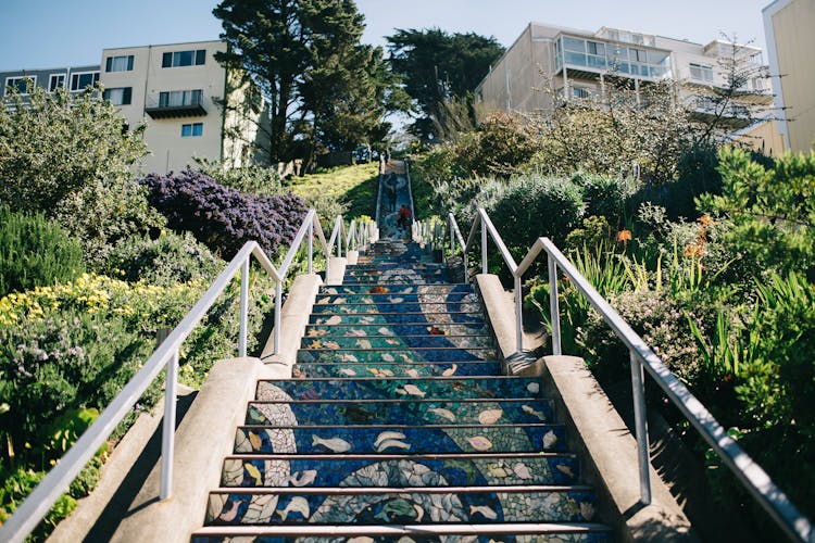 Mosaic Of Swimming Fish On Stair Steps