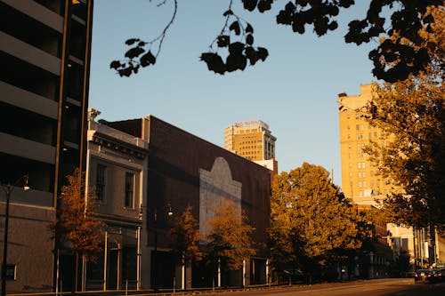Imagine de stoc gratuită din cartiere din centru, centrul orașului, cer albastru