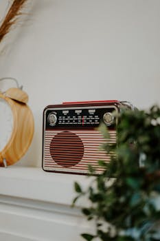 Classic vintage radio placed on a shelf with plants and decor, capturing a retro vibe.