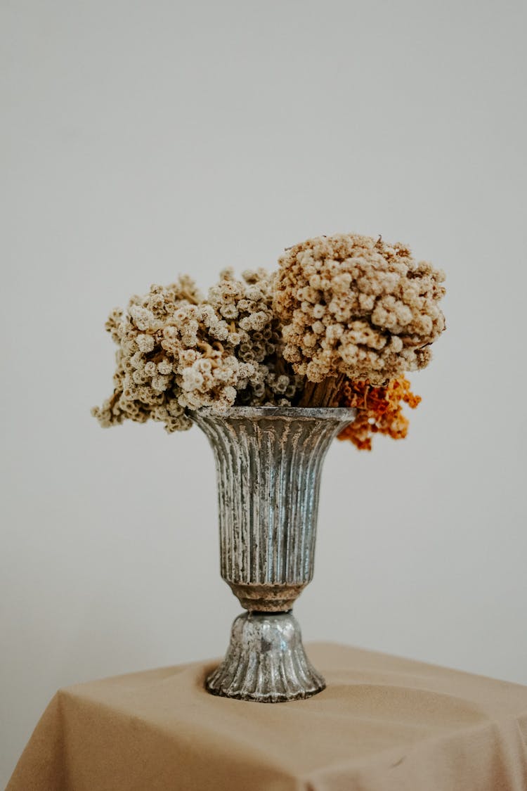 Dried Flowers On Concrete Vase