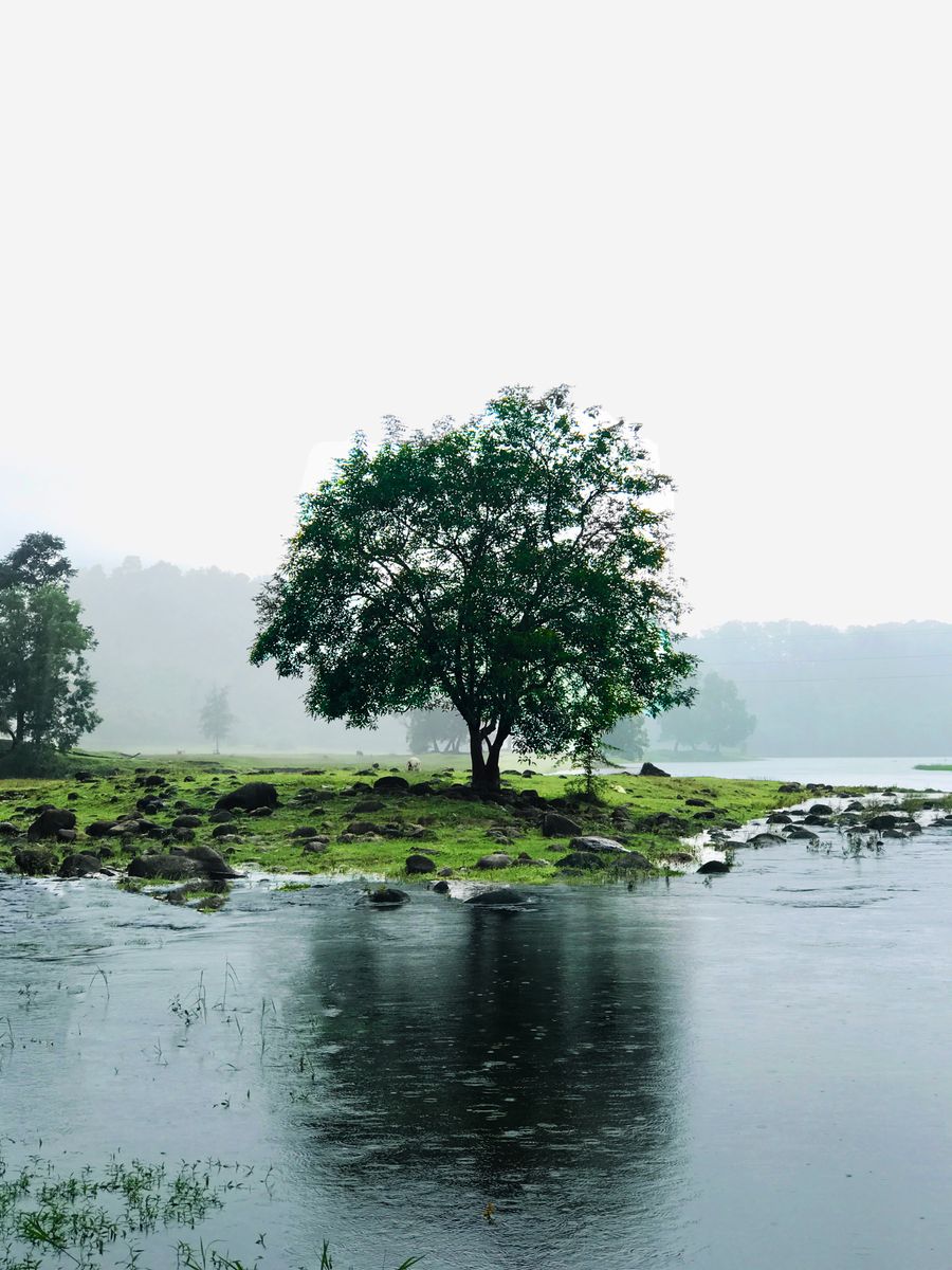 Saputara Lake photo 2