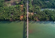 俯瞰一座横跨森林与河流的桥梁，四周林木葱郁，水流宁静