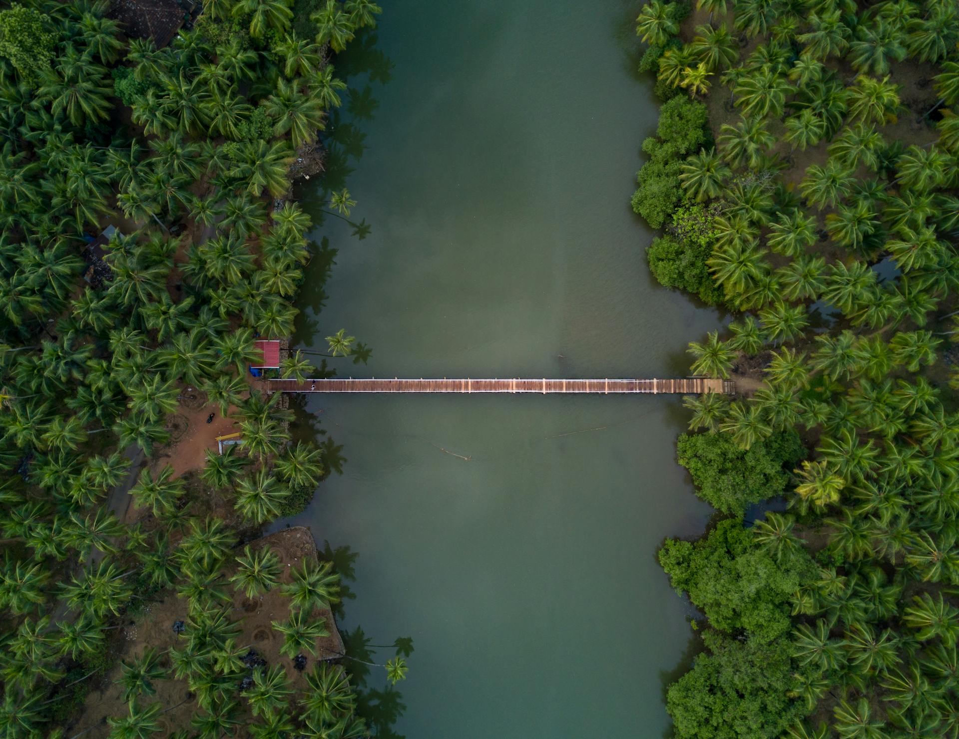 Scenic aerial view of a wooden bridge crossing a lush tropical river surrounded by dense palm trees.