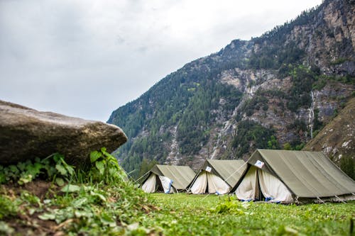Camps De Tentes Blanches Et Brunes