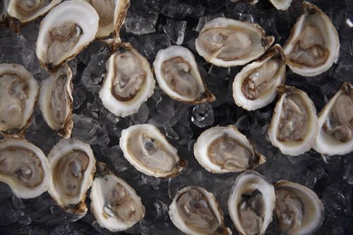 Free Delicious fresh oysters served on ice, showcasing seafood cuisine in Austin. Stock Photo