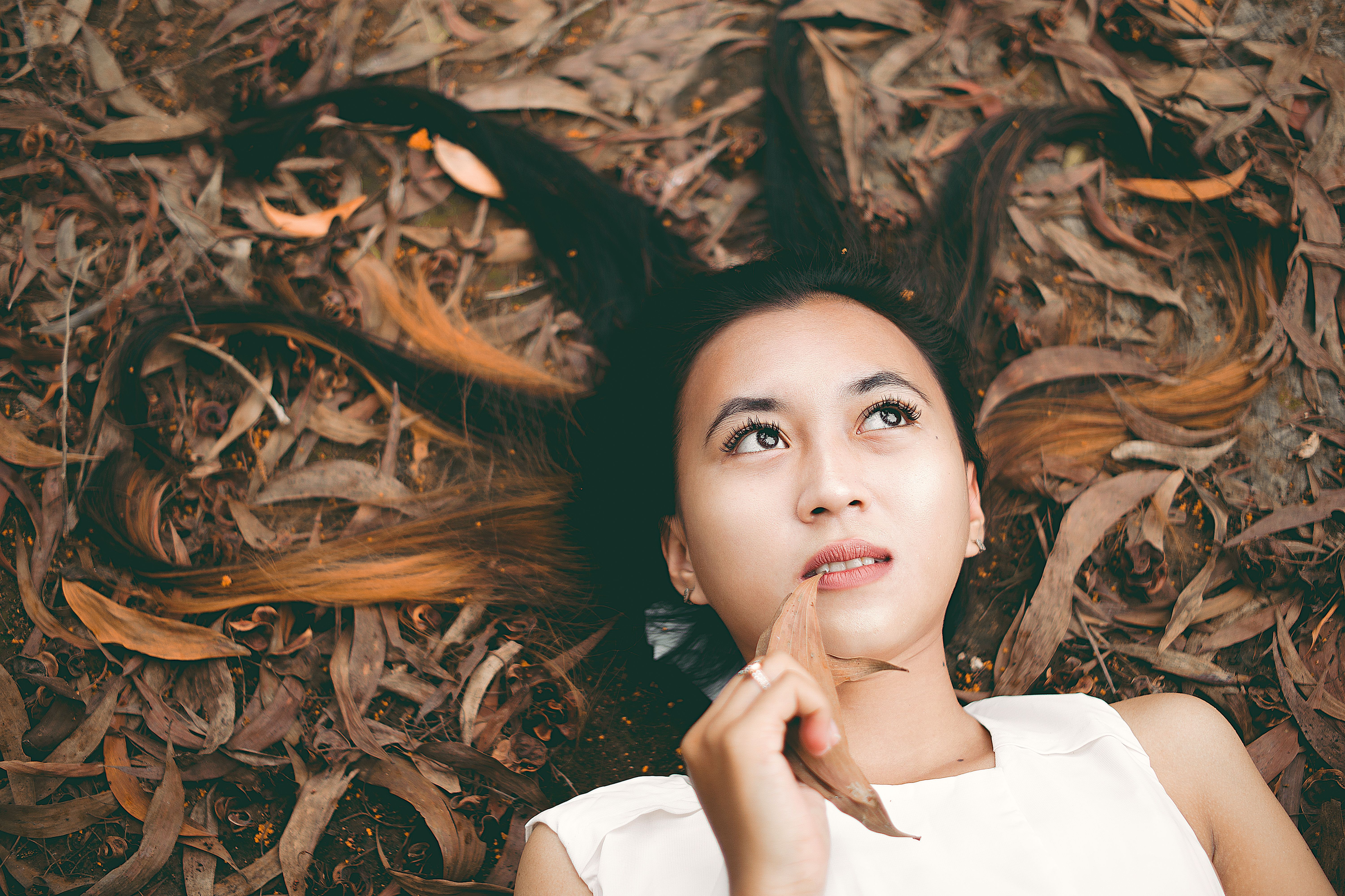 Kim Ngưu kiên định xây dựng lại sự nghiệp sau biến động