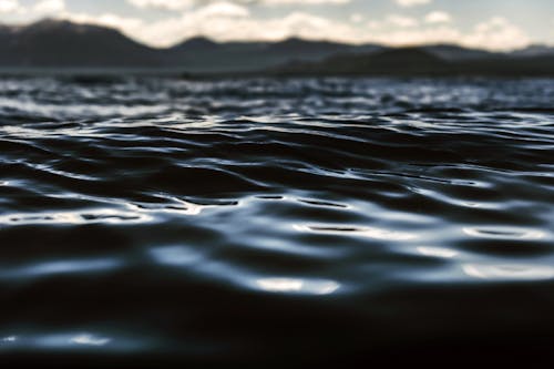 Ripple of Waves on Dark Water