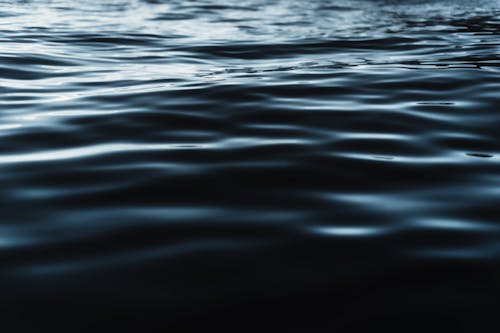 Surface of a Rippled Lake