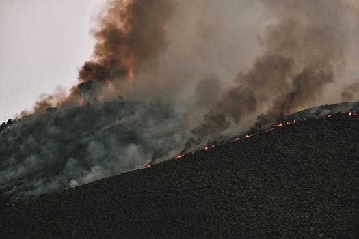 Intense forest fire spreading across a mountainside with thick smoke billowing into the sky.