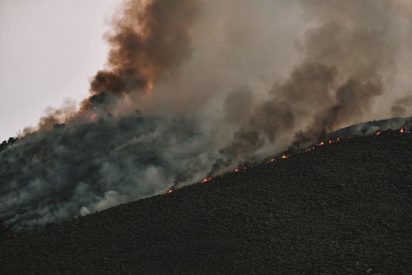 שריפה פרצה באי טזיאה: כוחות כיבוי אש פועלים במקום