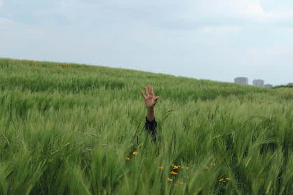 תמונת אילוסטרציה למאמר טיפול בהפרעות אכילה – איך בוחרים טיפול מתאים? טיפול בהפרעות אכילה – איך בוחרים טיפול מתאים?
