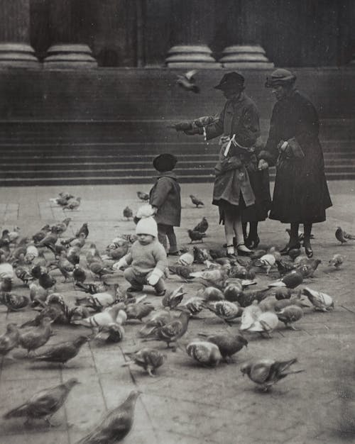 Grayscale Photo of People Standing near Pigeons on Ground