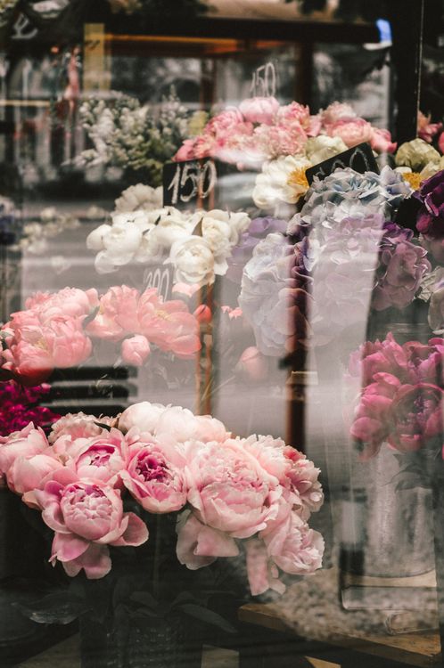 Flowers in Window Display · Free Stock Photo