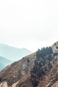Discover the serene mountain landscape of Almaty, showcasing nature's untouched beauty.