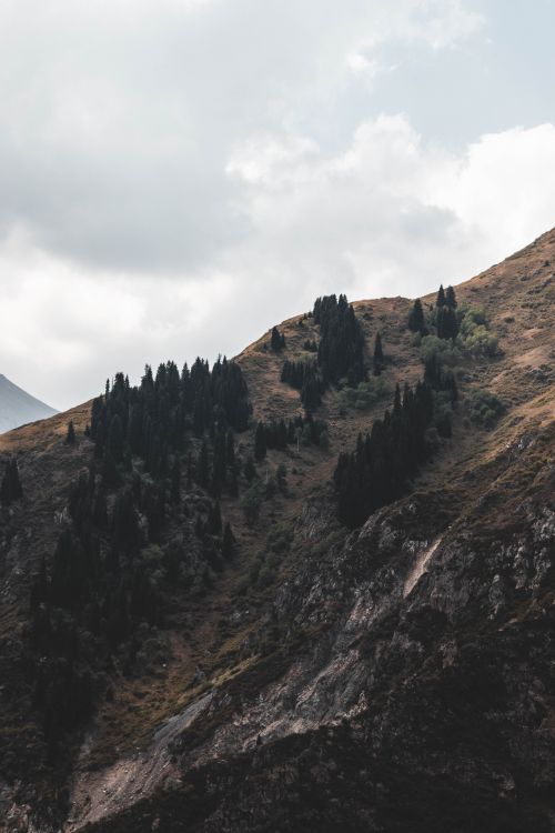 Free Stunning view of Almaty mountains under a cloudy sky, showcasing nature's beauty. Stock Photo