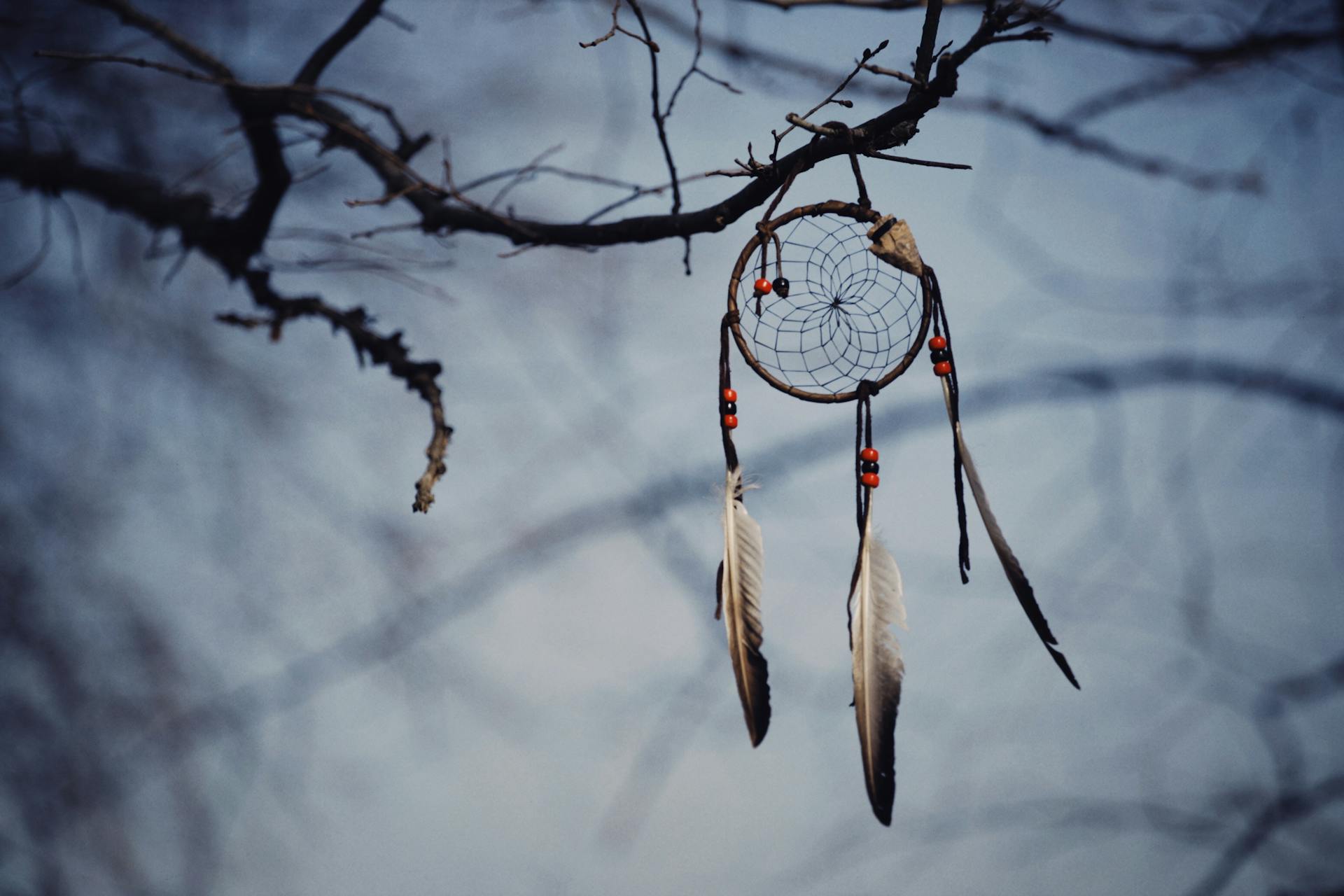 A dreamcatcher with beads and feathers hangs from bare branches in a tranquil winter setting.