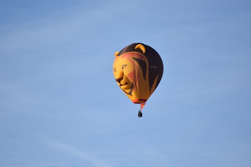 Free stock photo of activity, adventure, air