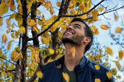 Mann Mit Blue Denim Zip Up Jacke In Der Nähe Von Yellow Leaf Tree