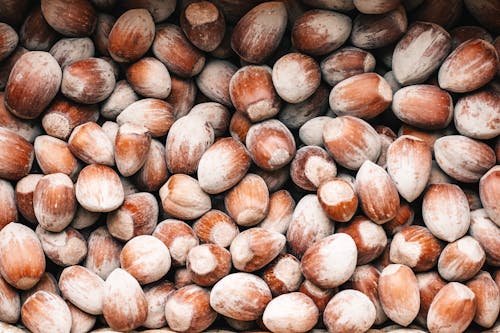 Kostnadsfri bild av brun, hård, hasselnötter