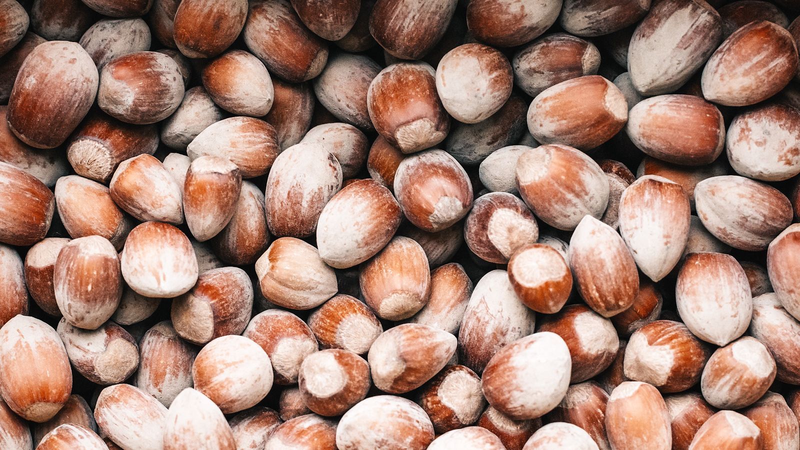 A pile of hazelnuts still in their shells — photo by Jonas Svidras on Pexels A pile of hazelnuts still in their shells