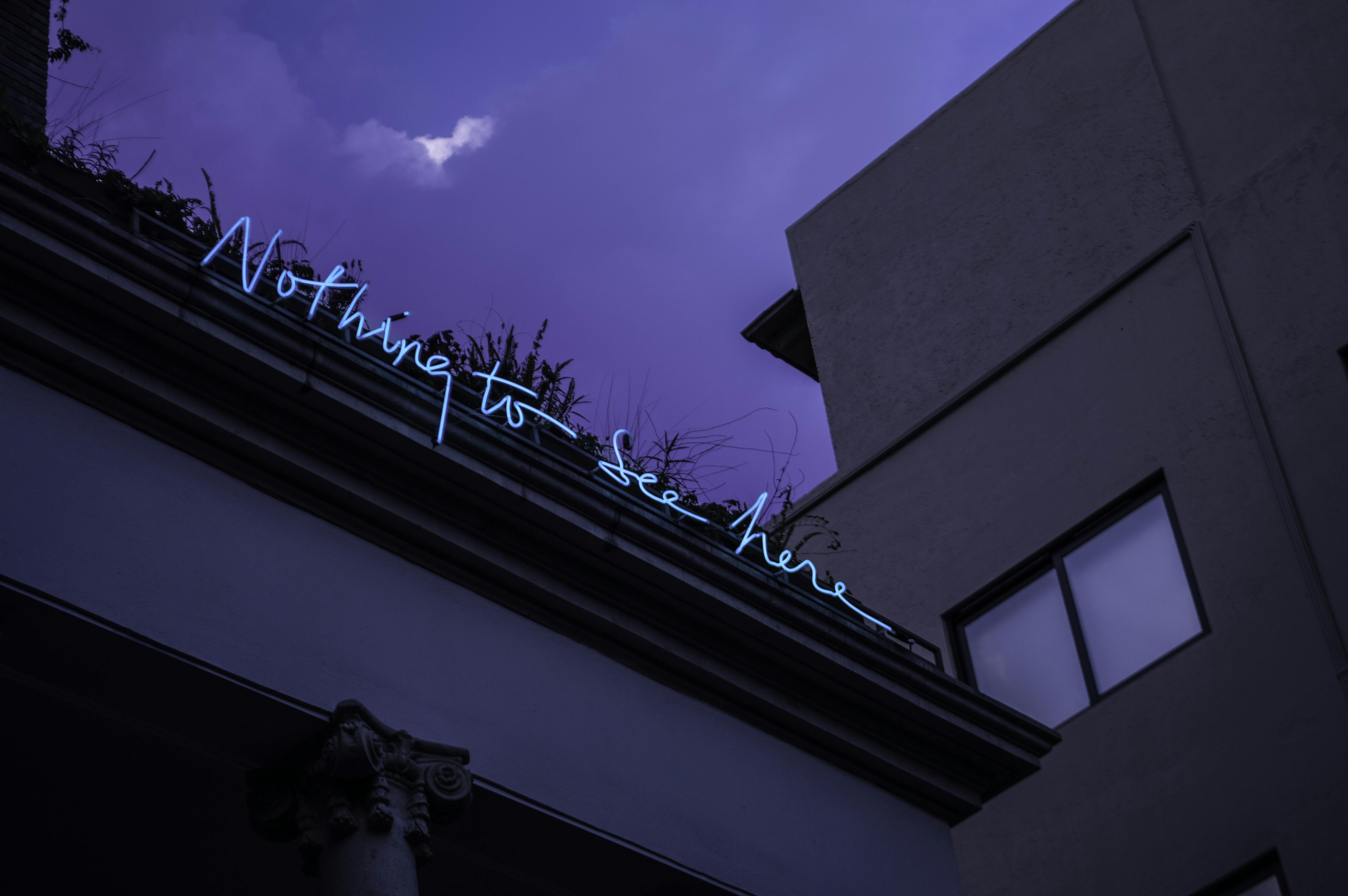 Nothing to See Here Neon Signage \u00b7 Free Stock Photo