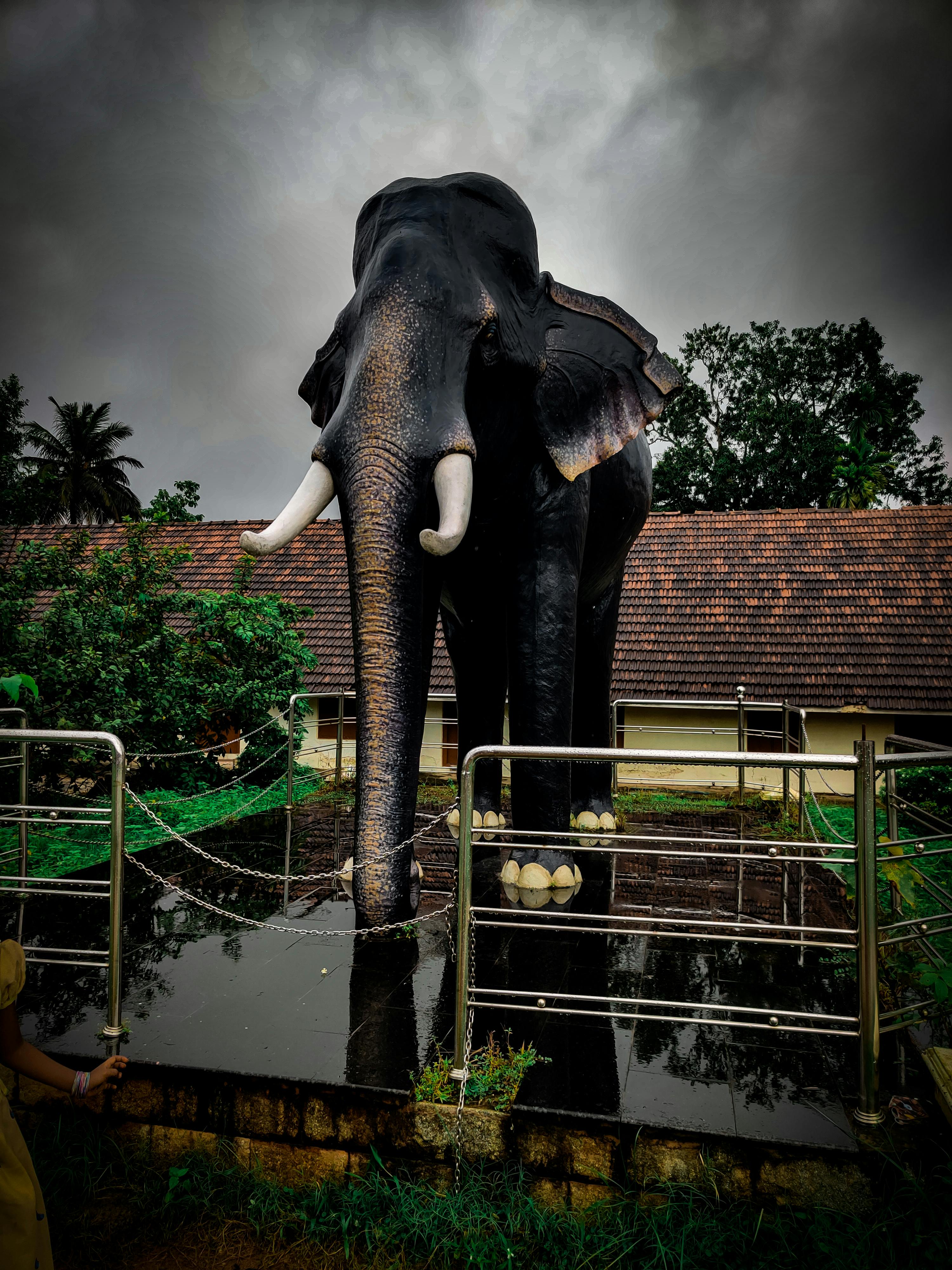 Sreekuttan Sathyan - Photography Sreekuttan Sathyan - Photography