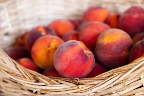 A Basket of Delicious Apricot Fruits