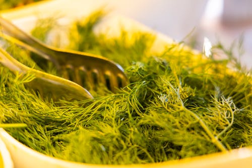 Free Green Dill in a Bowl Stock Photo