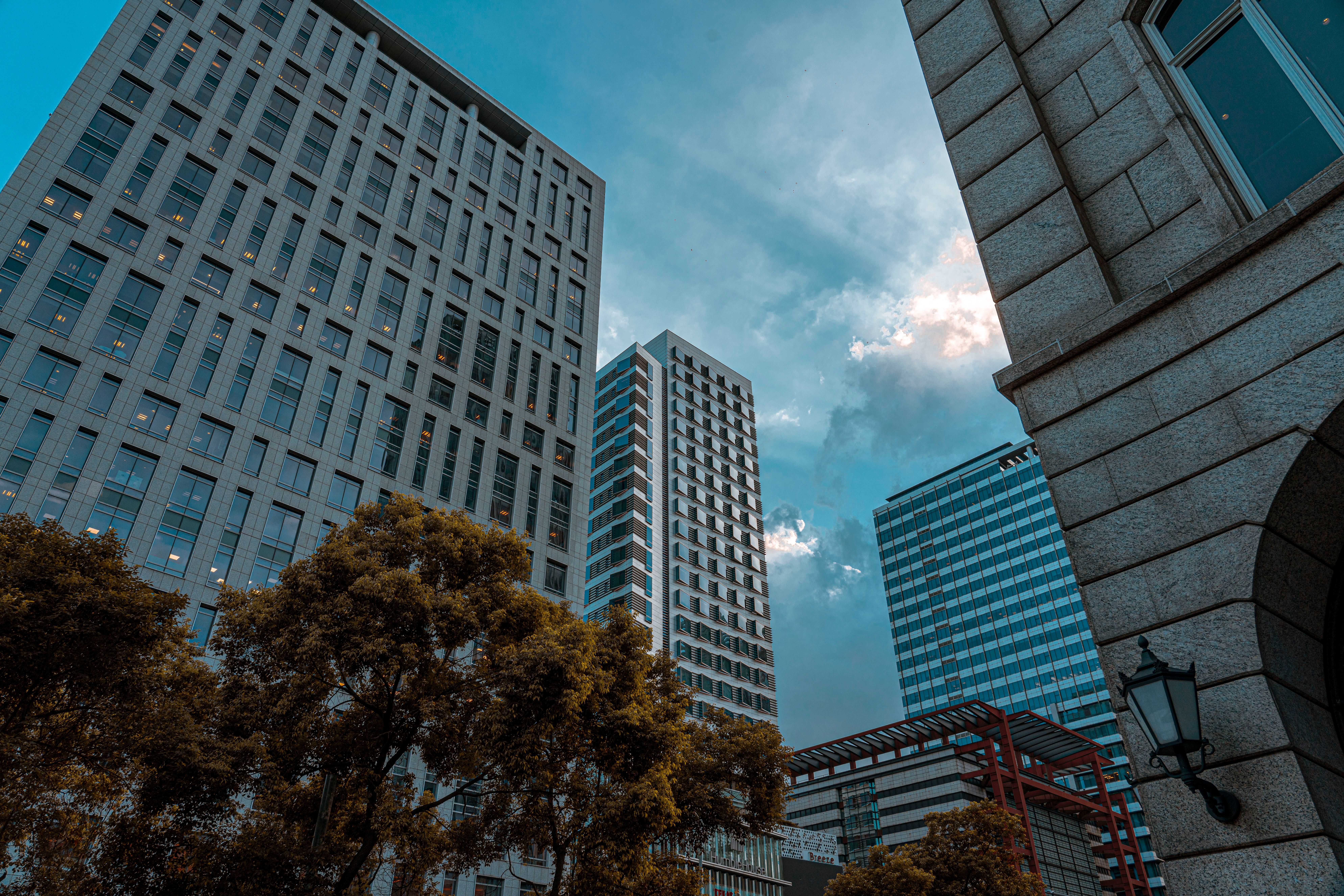 Japan’s Corporate Governance Code revisions — Photo by Jimmy Liao on Pexels