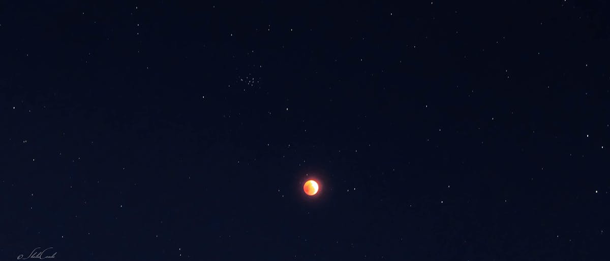 Free stock photo of astrophotography, full moon, red moon