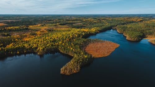 Panoramic View of Forested Land and Lake