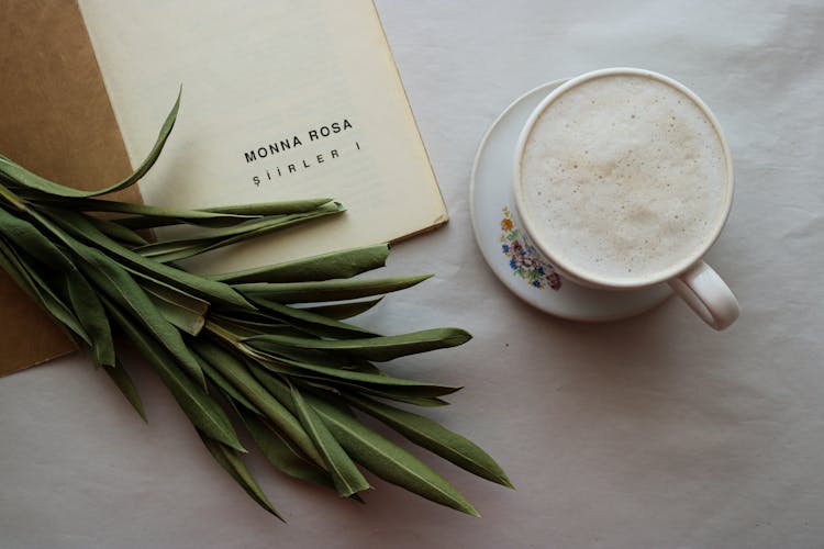 Green Leaves Beside White Ceramic Mug And Booklet