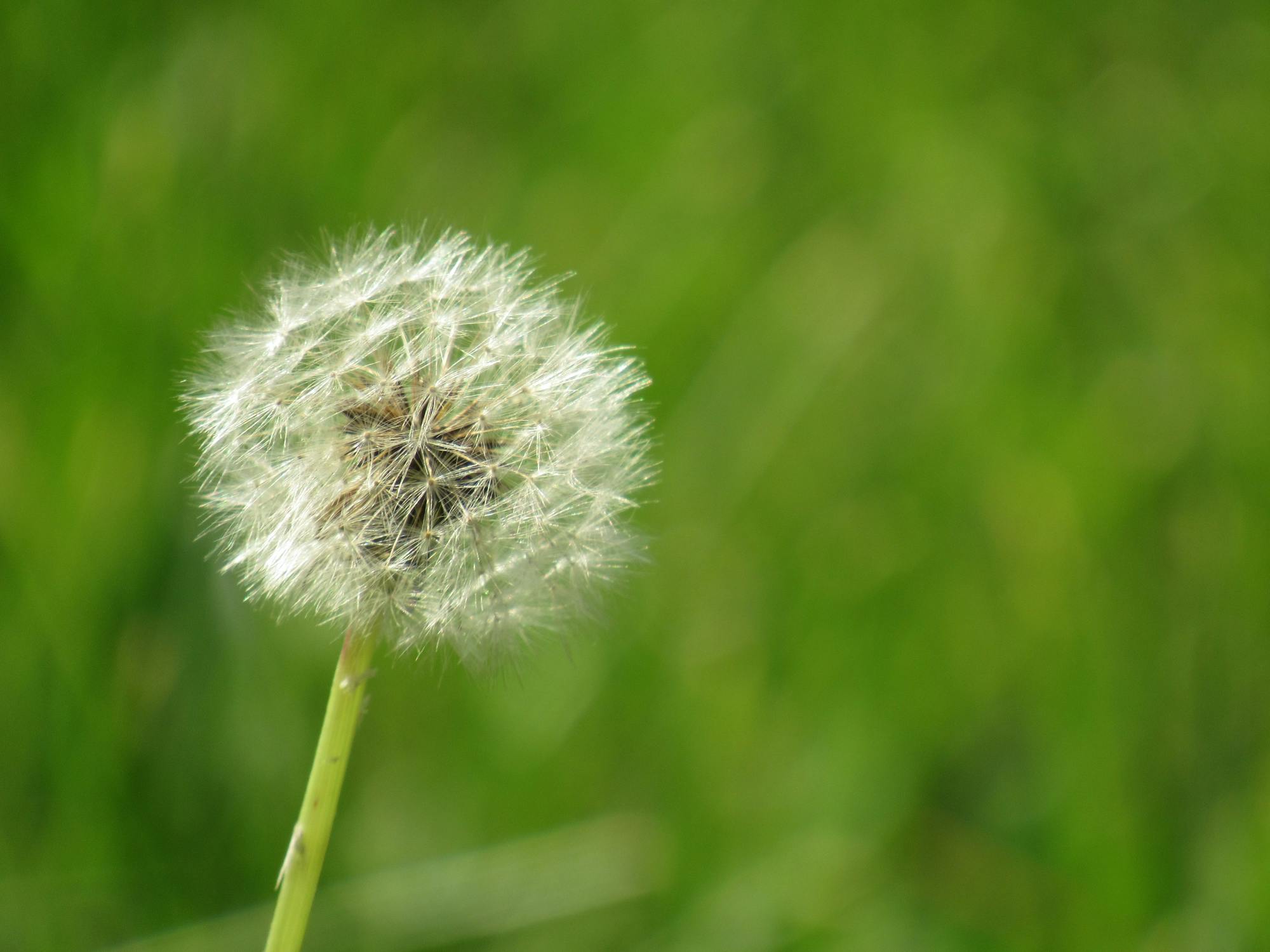Free stock photo of minimalism, minimalist