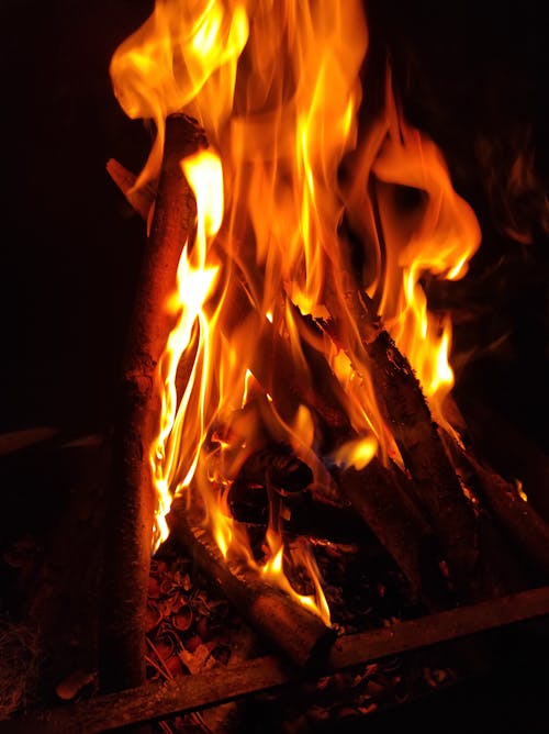 Free stock photo of burning, burning wood, camp fire