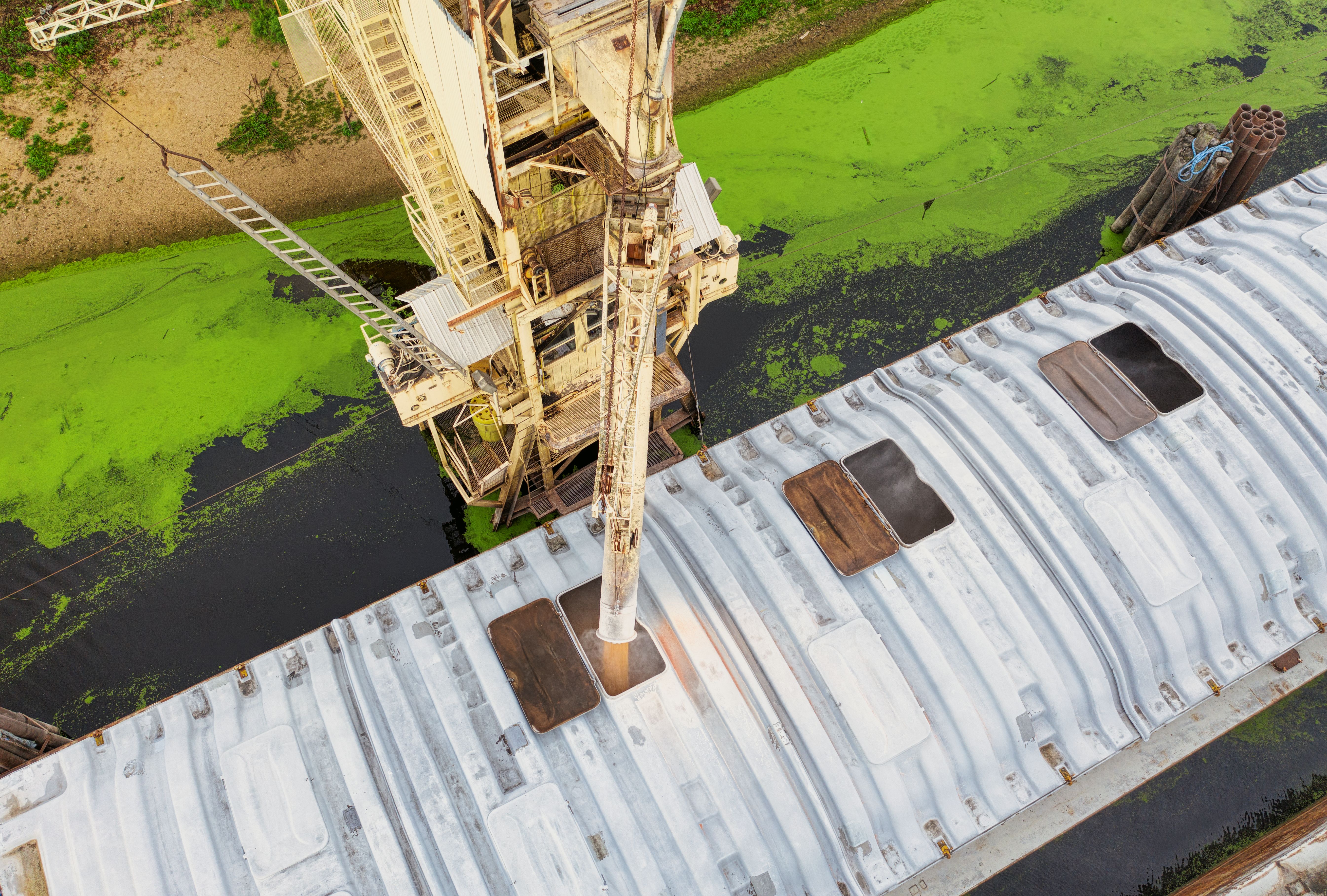 Bioenergy with Carbon Capture and Storage (BECCS) with Algae