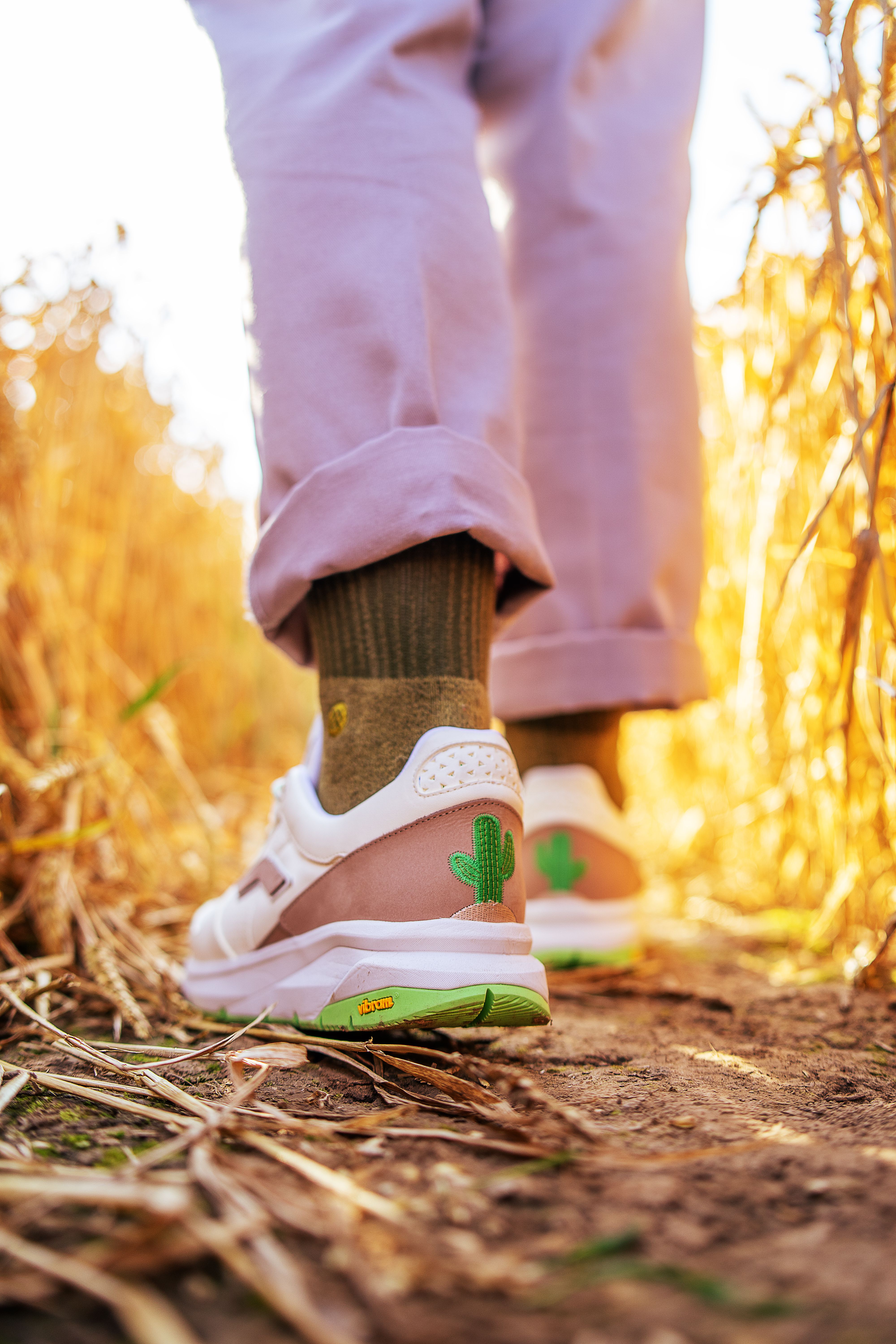 Close-up of trendy sneakers with a cactus emblem on a warm outdoor path. Perfect for lifestyle and fashion themes.