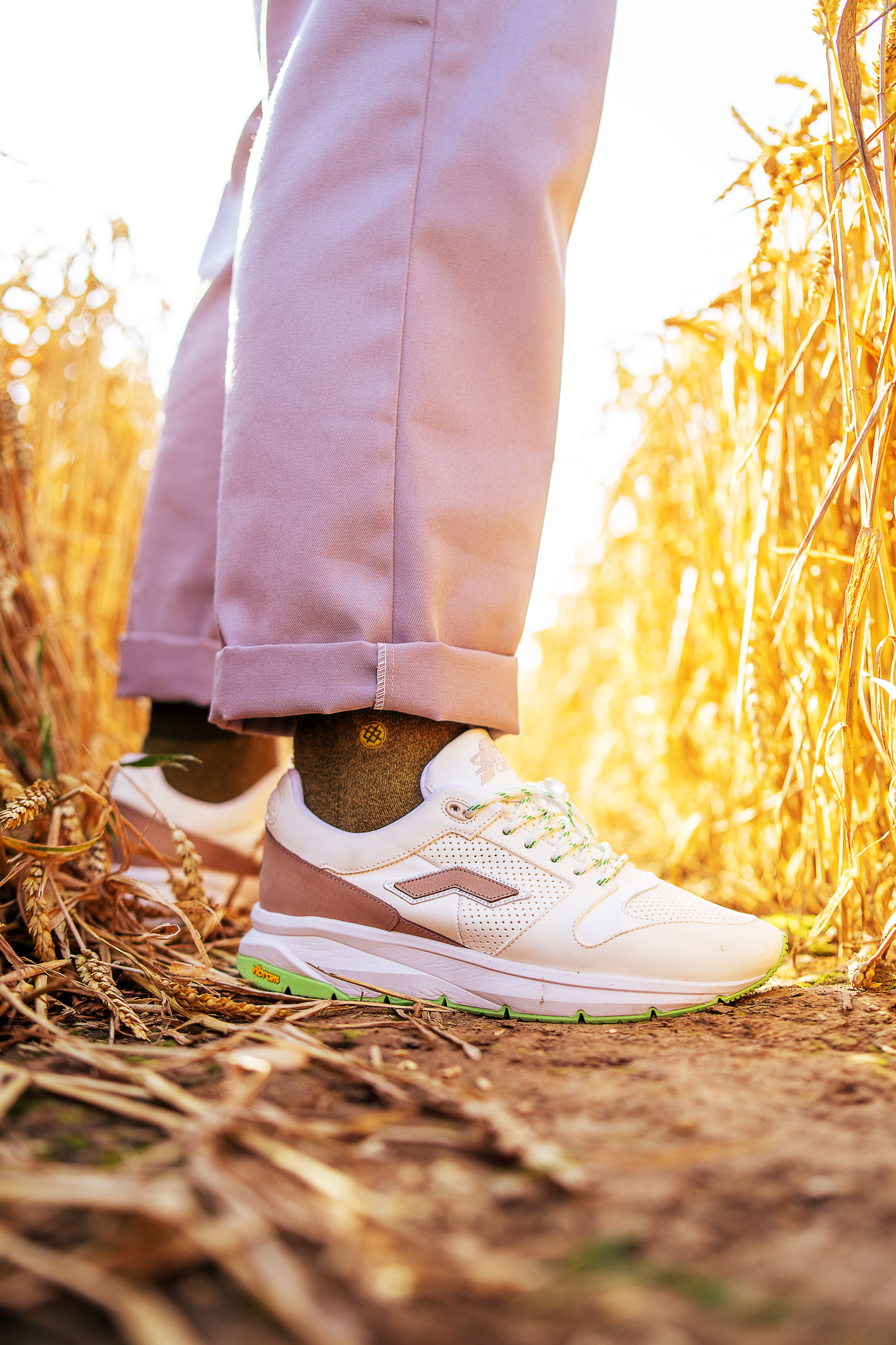 Stylish sneakers on a dirt path surrounded by tall wheat stalks, captured on a bright day.