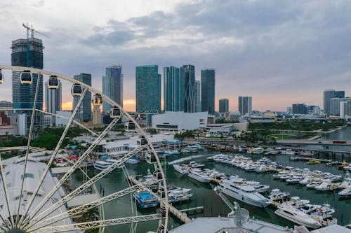 Boats in the Harbor Near High Rise Buildings