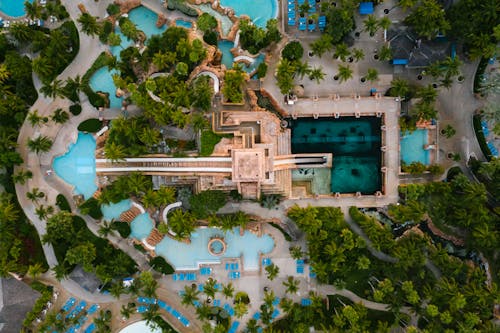 Aerial View of Swimming Pool Surrounded by Trees