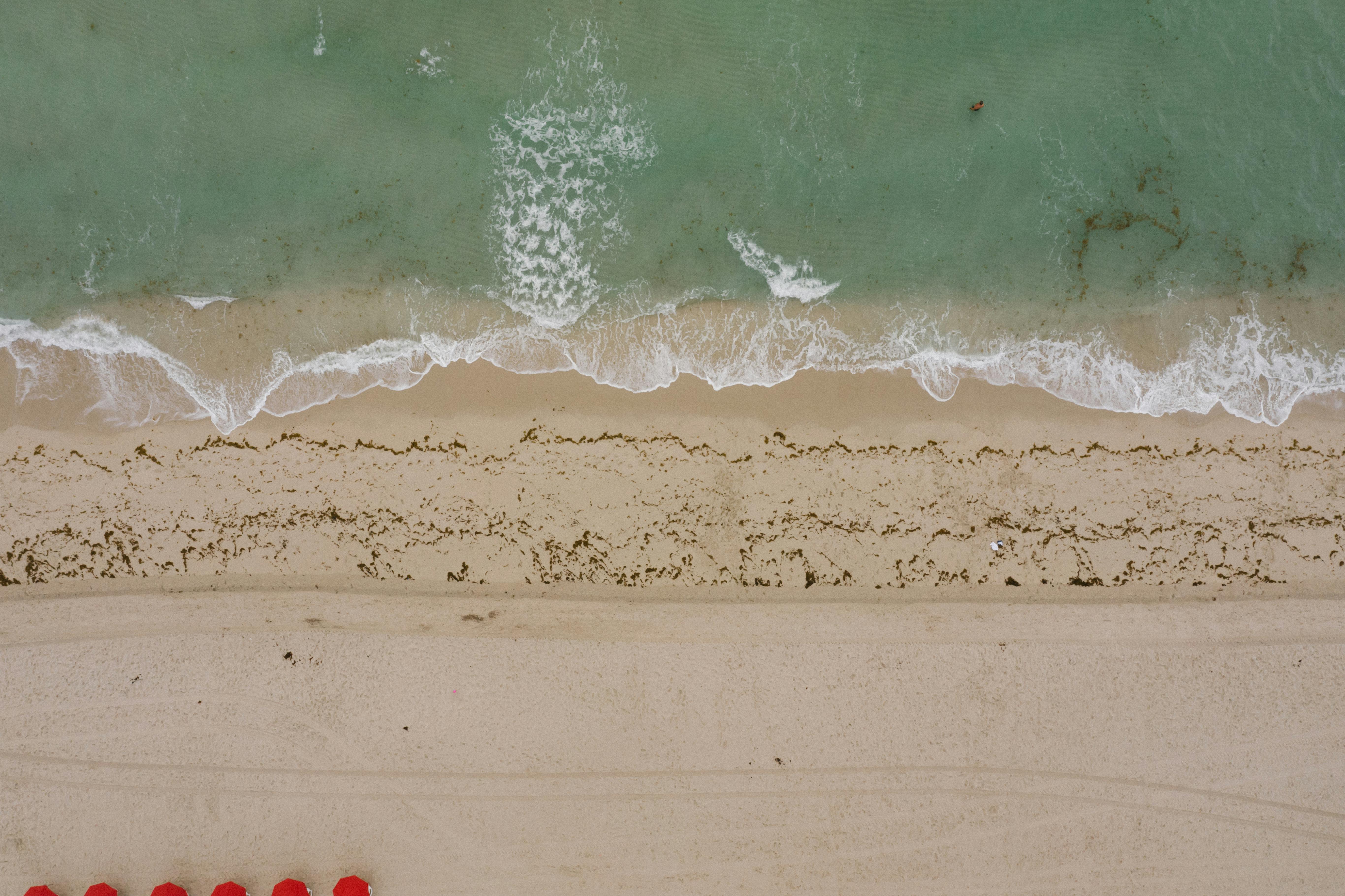 Lake Worth Beach leaders scrap proposed $245,000 fitness court in Bryant Park over waterfront views — Photo by Mikhail Nilov 