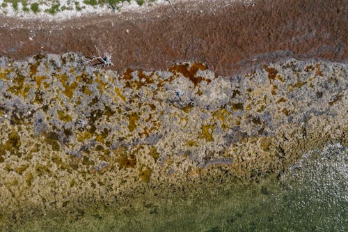 Photos gratuites de aérien, côte, eau