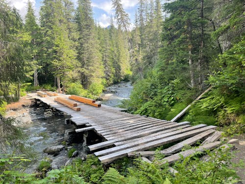 Free stock photo of alaska, bridge, clear stream