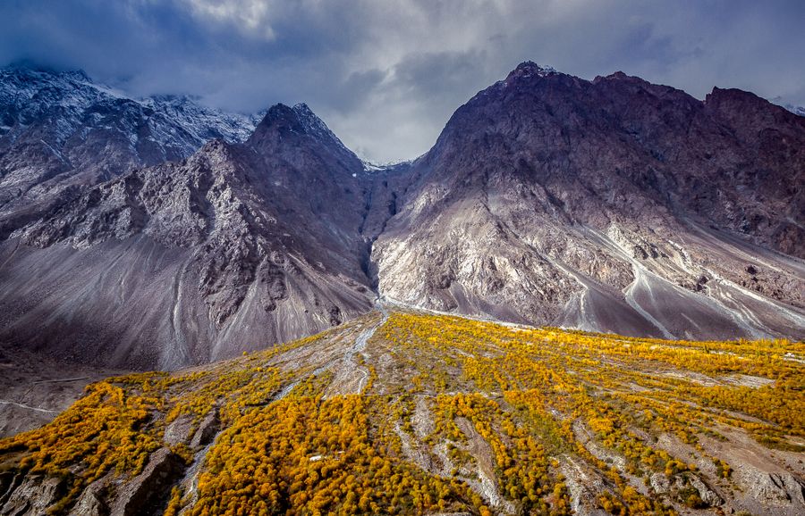 Rugged mountains above a flowering slope in Chitral