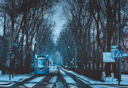 Free Blue Train on Rail Road Between Bare Trees Stock Photo