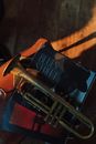 Brown and Black Guitar on Brown Textile