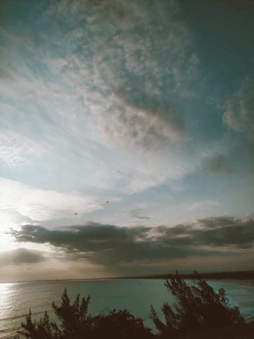 Birds Flying under a Cloudy Sky